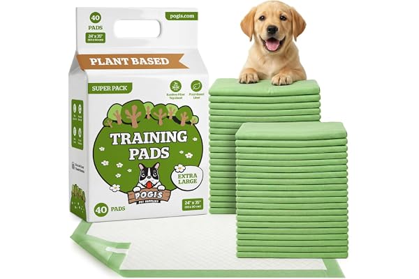 Pogi Tapis éducateurs pour Chiens – écologiques, Ultra absorbants et Anti-odeurs – Paquet de 40 (60 × 90 cm)