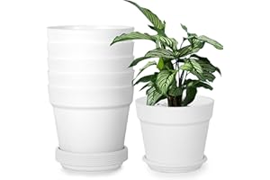 SOLVANT Doniczka z tworzywa sztucznego z podstawką, 12,5 cm, zestaw 6 plastikowych doniczek na zioła, z wieloma otworami odpływowymi, okrągła donica na rośliny, (Biały, 12CM)