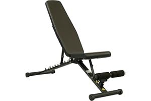 ‎FJOERDESPORTS Fjoerdesports Hantelbank mit Ablage, Verstellbare Höhe & Klappbar, Schwerlast Gewichtheben, Heimtraining, Home Gym, Dip-Station, Fitnessstudio, Multifunktion Trainingsbank