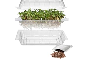 Browin 745748 Máquina de germinación de Semillas de rábano, máquina de germinación con colador de Drenaje, contenedor de germinación