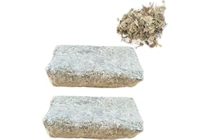 RUNSMOOTH Hierba Seca Musgo Agua 6L para orquídeas Phalaenopsis, Suelo sustrato Cultivo sin Suelo, Suministros para jardín orquídeas (6L*2)