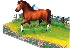 papercrush® Kartka pop-up z koniem – kartka urodzinowa 3D dla dziewcząt i jeźdźców, zabawna kartka z życzeniami na urodziny dla miłośników koni, prezent pieniężny lub bon na lekcje jazdy konnej