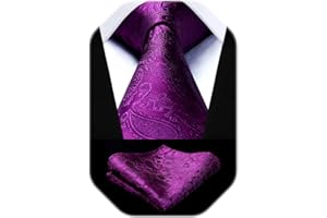 HISDERN Paisley Floral Corbatas de Hombre Modernas Corbata y Pañuelo de Bolsillo a Juego Clasica para Boda Fiesta Business