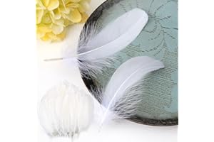 peiyee 100 Plumes Plumes Blanches,Plume pour Loisirs créatifs,Plumes d'oie Naturelles et Douces,pour Loisirs Créatifs,Attrape-rêves,Boucles d'oreilles,Mariage,Festival,Maison,Fête