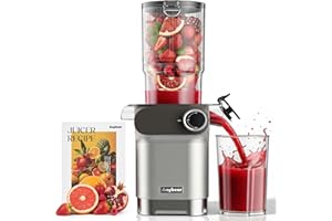 Anybear Cold Press Juicer, 200W Masticating Slow Juicer 4.3" Large Feed Chute Fit Whole Fruits Vegetables | Upgraded Auger | Tritan Materials | BPA Free | Juice Recipes (Silver)