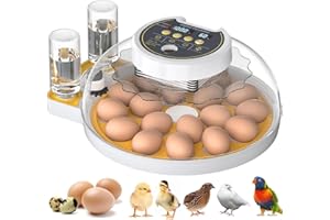 TRIWIND Upgrade Egg Incubator for Hatching 18-60 egg with Automatic Egg Turning and Humidity Control, Full Automatic Incubators for Hatching Eggs, Incubator for Farm Science Classroom Home Chicken Duck Quail