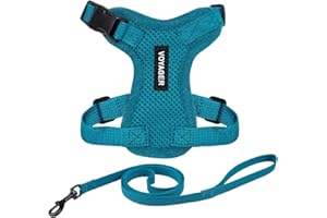 Voyager Step-in Lock Katzengeschirr und reflektierende Katzenleine mit Neoprengriff by Best Pet Supplies - Unterstützt kleine, mittelgroße und große Katzenrassen, Türkis, size XXS - 1,5 m