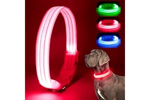 Chalklit Light Up LED Dog Collar, USB Rechargeable Waterproof Reflective Adjustable Flashing Dog Collar Lighted, Glowing in the Dark for Small Medium Large Dogs Night Safety Walking
