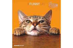ALPHA EDITION Funny Cats 2025 CALENDARIO DA PARETE 30X30 CM
