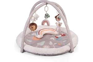 Red Kite Play Gym - Padded Play Gym with Hanging Toys & Tummy Time Mirror (Woodland Walks)