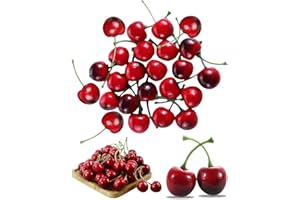 TPZORJX 20 pcs di ciliegie artificiali,Ciliegie Artificiali Frutta,decorazione di frutta finte simulazione modello ciliegia realistica frutta ciliegia decorazione per la casa,la cucina,la scrivania