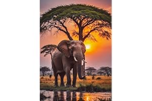 TOSTOG Diamond Painting Kit Adulte,Diamant Painting Images Ronde Diamond Peinture Diamant Adulte 5D DIY Cristal Débutant Art Set pour Décoration Murale Maison 30x40cm