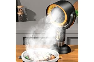 MENDUNER Extractor de Aire Portátil, Filtro Desmontable de 2 Velocidades de Iones Negativos, Campana Extractora Portátil, Taza de Recolección de Aceite, Extractor de Cocina para Barbacoa