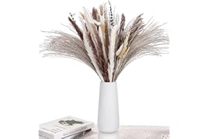 Qixora 102 Piezas Pampas Secas Decoracion, Ramo de Flores Secas, Flores Secas Naturales, Decoración de Hierba Seca, Pampas Grass Decora Salones, Dormitorios, Comedores, Oficinas, Bodas y Fiestas