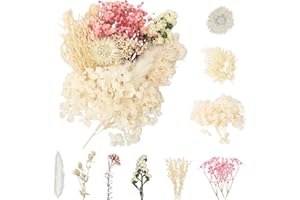 LAUMOE Getrocknete Blumen, Trockenblumen, Trockenblumen Zum Basteln Trockenblumen Set Mini Trockenblumen für Startseite Kunst Basteln Dekoration (Weiß)