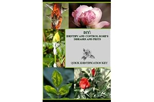DIY : IDENTIFY AND CONTROL ROSE'S DISEASES AND PESTS: Quick Identification Key