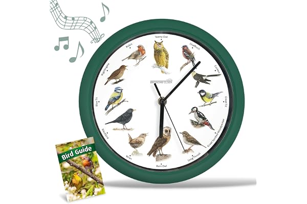 StARLYF Birdsong Clock Birdsong Fågelljud Väggklocka, Enkel installation, Originalinspelningar, Stäng av på kvällstid (25x25)