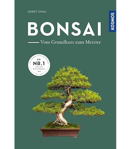 Japan Bonsai-Wundpaste von Kaneshin 100 gr., Kiyonaru 61044 : Amazon.de:  Garten