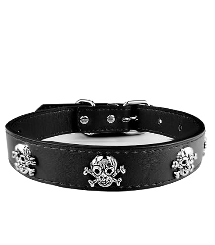 Buckle Down Hundehalsband Argyle – Schwarz/Grau/Rot, Größe L (38–66 Cm)
