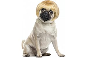 Cobee Funny Dog Cat Cosplay Wig, Pet Wig-Adjustable Costume Pet Funny Headwear Costumes Headgear for Small Medium Large Dog Cat Wigs Dress Up Decorations for Halloween, Christmas, Parties (Gold)