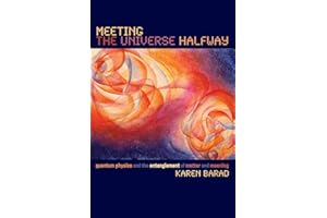 Meeting the Universe Halfway: Quantum Physics and the Entanglement of Matter and Meaning