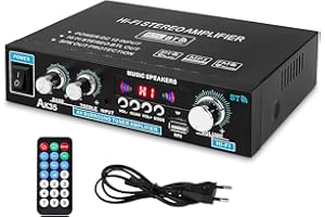 XRLUC Bluetooth Mini Verstärker mit Netzteil, 2.0 Kanal Klar und Realität Sound 600 Watt Home Audio Stereo Hi-Fi Musik für Passiver Lautsprecher PC TV Auto