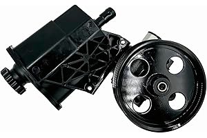 FLYSCLEAN Power Steering Pump with Pulley Reservoir Compatible With 2002-2007 Dodge Ram 1500, 96-70269, 20-70269 New Power Assist Pump