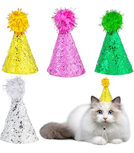 Buy 20 Pieces Rainbow Birthday Party Hats Colorful Birthday Cone Hats