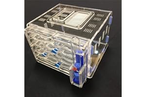 ANT GRAPE Grandangolo di umidità di bricolage grande, 9 colori, disponibile con nido di formiera, formiere acriliche, formiere acriliche