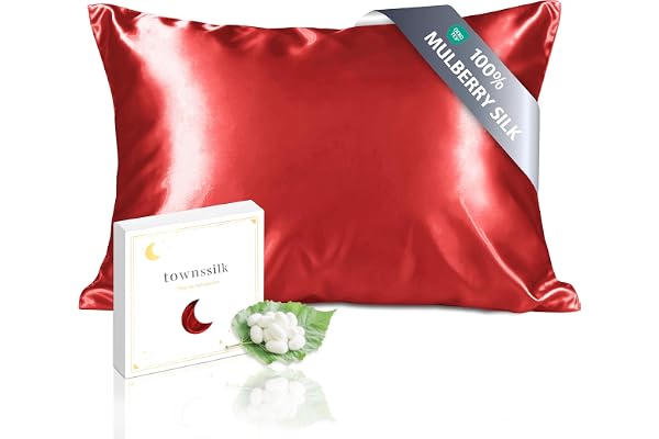 townssilk Silkesörngott, 100 % naturligt mullbärssilke, 19 momme, dubbelsidigt, fördelaktigt för hår och hud, örngott med silke, allergivänligt, dolt blixtlås, 600 trådar, 1 st, 50 x 60 cm