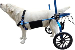 KAJILE Fauteuil Roulant réglable à 2 Roues pour Chien,Taille L-2 pour la rééducation des Pattes arrière des Chiens handicapés,Hauteur 40-50cm,Largeur 19-25cm,Longueur 27-35cm
