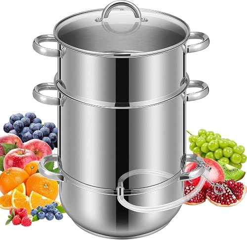 VIVOHOME Dampfentsafter 10 L, Edelstahl mit Glasdeckel