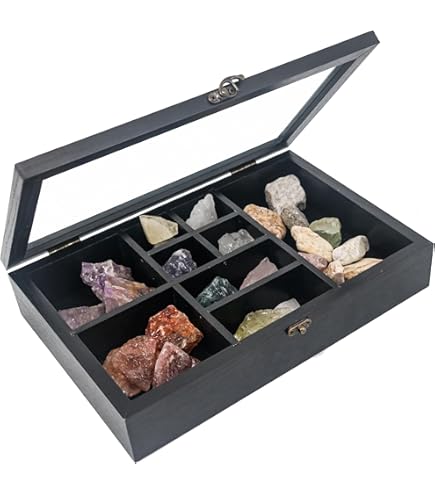 BENECREAT 24 Grid Brown Sieraden Tray Box, Hout Verstelbare Display Case Rechthoek Organizer Houder met Deksel voor Seashell, Collectibles, Rock, Festivals Gift Vrouwen