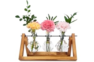 Eclare Plant Propagation Stations, Desktop Propagation Station with Wooden Stand and Glass Bulb Vase for Hydroponics Plants, Retro Plant Terrarium for Home&Office (3 Diamond Shape Bulbs)