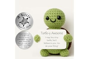 Tixlux Positive Turtle Gifts, Handmade Positive Cute Knitted Turtle Doll, with Pocket Hug Lucky Charm, Good Luck | Emotional Support | Get Well Soon | Birthday Gifts for Women Men Kids