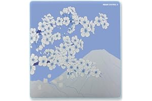 X-RAY X-RAYPAD Alfombrilla de ratón para Juegos X-Raypad Aqua Control 2 AC2, Ultra Alta precisión con Velocidad Capacidad de Control, diseñada para Jugadores Fps con Bajos requisitos de dpi