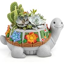 Srliya Vaso Creativo Per Piante Grasse Con Casetta – Fioriera In Resina Multistrato – Decorazione Da Giardino E Interni