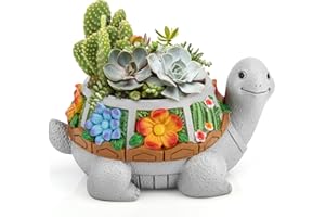 Grovind Pots de fleurs pour plantes succulentes, avec trou de drainage, jolis pots de fleurs pour cactus, pots de fleurs pour plantes d'intérieur, maison, jardin, cadeaux