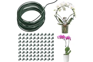 W RXKIOCS Tuteurs pour plantes Support avec 80 pinces orchidées pour orchidées, amaryllis, pivoines et légumes (10 m x 3 mm)