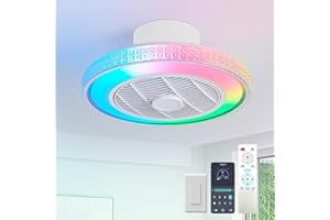 LOKUNM Ceiling Fans with Lights RGB Reversible Ceiling Fan Light 40CM 6 Wind Speeds Fan Light Low Profile Dimmable Ceiling Fans with Lights Timer Memory Fan Lights Ceiling for Bedroom,Kitchen