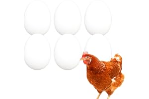 FINCA CASAREJO Uova Finte per Galline – Uova Bianche Finte e Solide – Uova Artificiali per Nido de Galline – 6 Uova Finte