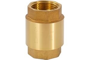 JESUSTREE Clapet Anti-retour 1/2" Entièrement en Laiton, DN15 Vanne Anti-Retour Universel, Antirouille et étanche pour Pompe, Fontaine, Machine à Laver, Jardin, Mégots de Pluie, Baril