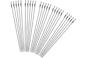 iMeshbean Fieberglaspfeile Pfeile für bogenschießen, 25 Stück Bogenpfeile Erwachsene 31 Zoll Fiberglaspfeil Jagdpfeile für Bogen, Recurvebogen, Sportbogen