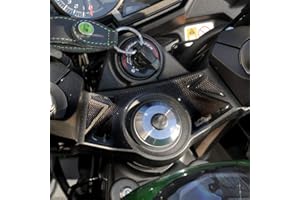 Resin Bike Motorcycle 3D Stickers Compatible with Kawasaki Z 1000 SX 2017-2019. Steering Fork Protection from Bumps and Scratches. Resin Stickers for Steering Fork Plate - Gadget Moto