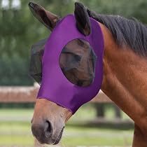 Set Protezione Mosche Per Cavalli: 4 Stivali + Maschera Con Orecchie - Tessuto Rete Traspirante - Regolabile E Lavabile