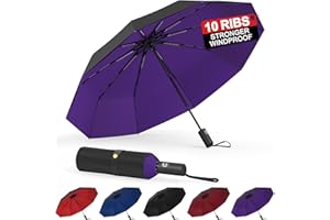 BALORIZ Windproof Double Layer Umbrellas, Compact Travel Folding Umbrella, Auto Open & Close Portable Wind & Rain Resistant Umbrella with 10 Ribs for Men, Women, Children (Purple)