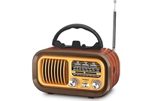 PRUNUS J-150 Radio Portatile Vintage FM/AM/SW, Bluetooth, Radio con Batteria Ricaricabile da 1200 mAh, Supporta TF/USB, per Casa, Cucina, Tavolo