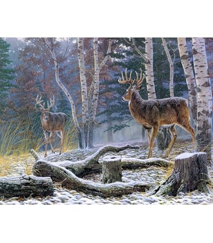 Ginfonr 5D Diamond Painting Kit – 2 Tele 30x40 Cm, Orso E Cervo Invernale, Con Trapani Rotondi Lucenti, Decorazione Parete