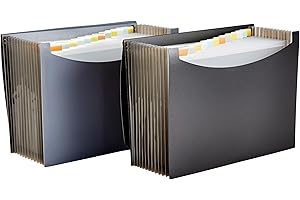 Amazon Basics Cartella portadocumenti espandibile, formato A4 (confezione da 2), Nero/Grigio