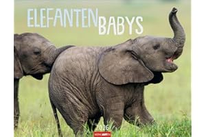 Elefantenbabys Kalender 2026: Tierisch-süße Dickhäuter im Jahres-Wandkalender 2026. Lustige Momentaufnahmen von niedlichen Jung-Elefanten. Ein ... 44 x 34 cm (Tierkalender Weingarten)